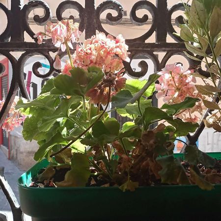 Apartamento Lavapies Al Lado Del Rastro 马德里 外观 照片