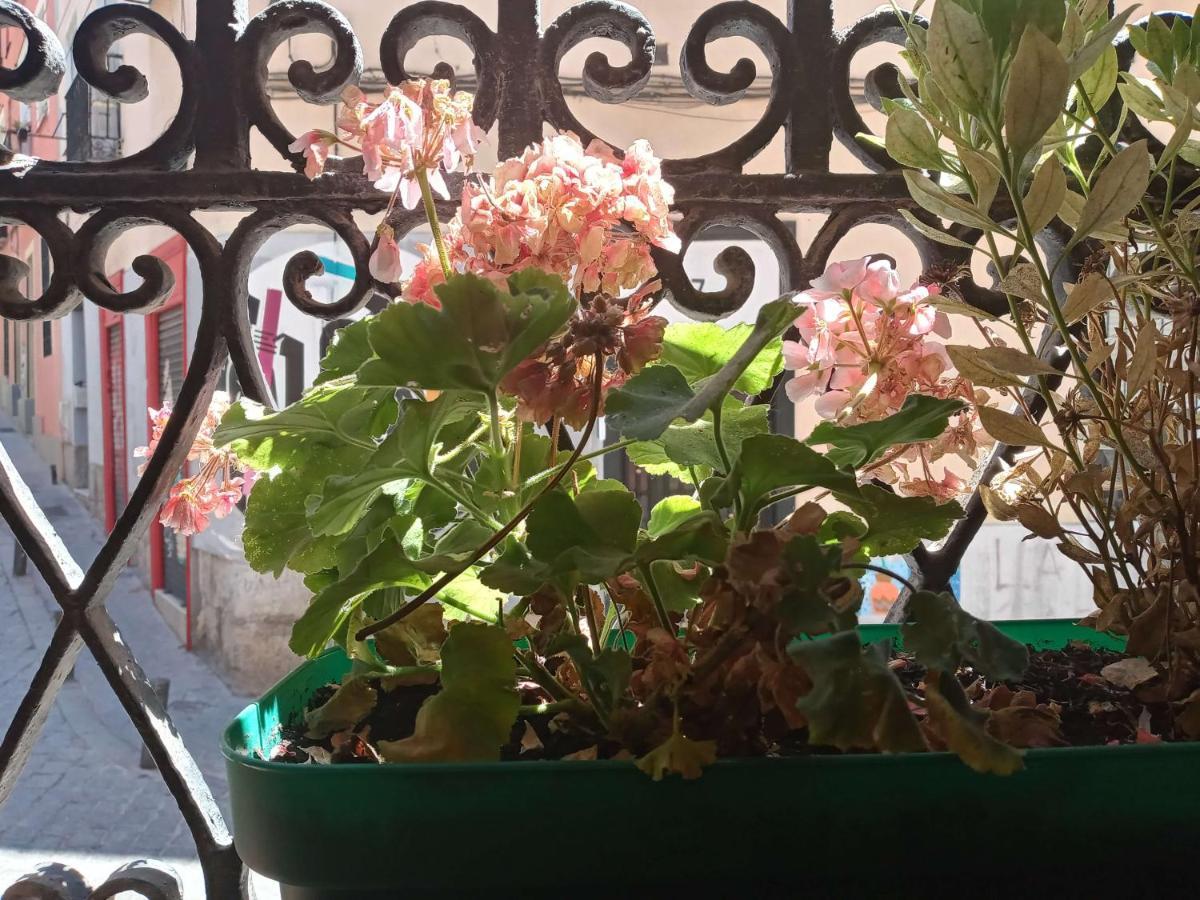 Apartamento Lavapies Al Lado Del Rastro 马德里 外观 照片