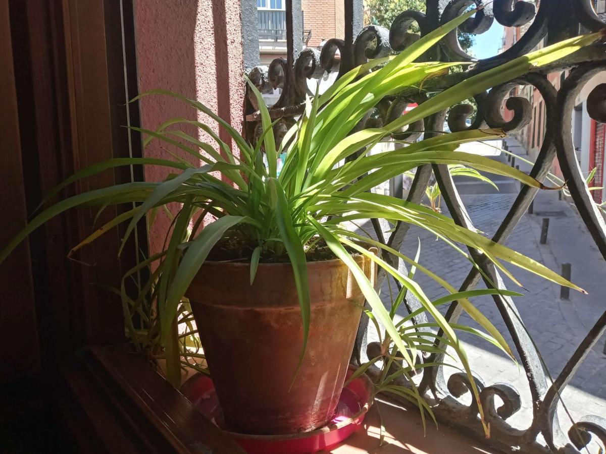 Apartamento Lavapies Al Lado Del Rastro 马德里 外观 照片